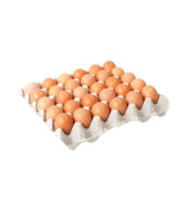 EggTray30Pcs