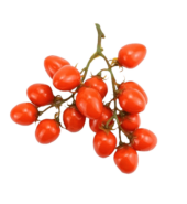 Cherry Tomatoes…