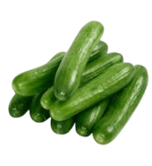 Cucumber Per…
