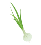 Garlic Leaf…