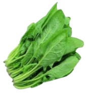 Spinach Saag…